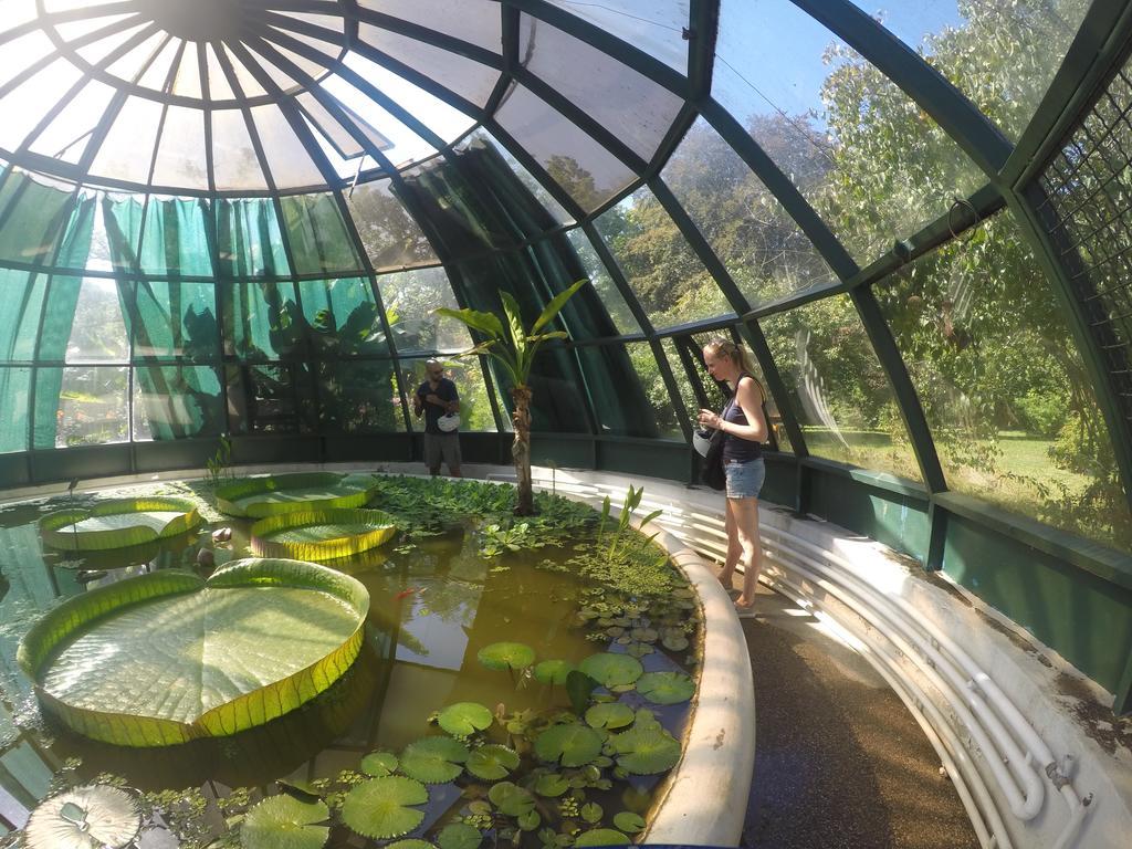 Lobagola B&B Zagreb Luaran gambar